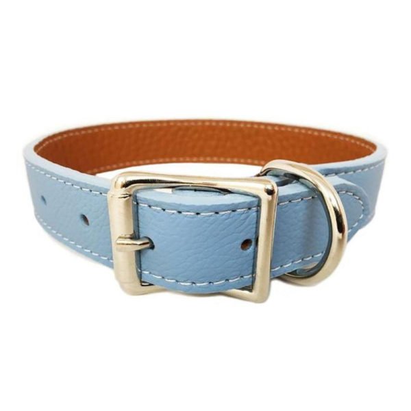 Royal Blue Leather Color Dog Collar Manufacturer