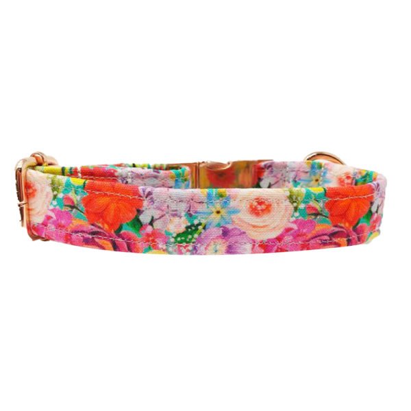 Beautiful Floral Print Fabric Dog Collar