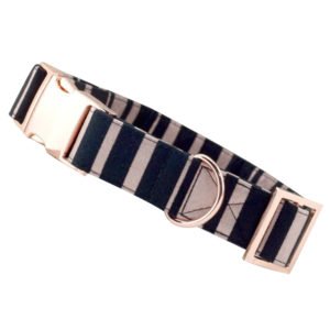 Rose Gold Metal Buckle Dog Collar