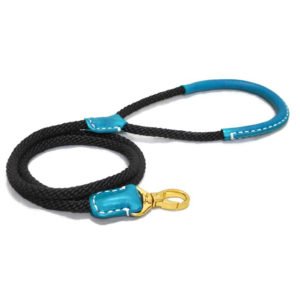 Pro Climbing Leather Dog Leash