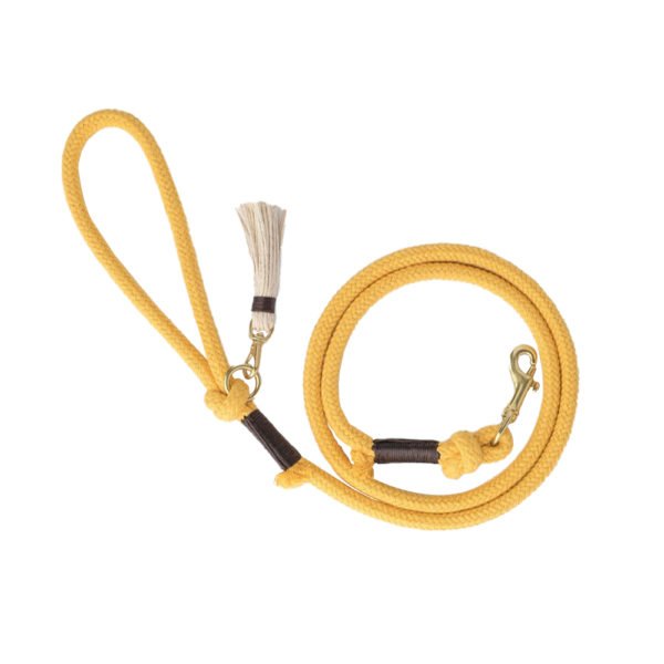 Strong Yellow Adjustable Tau Rope Dog Leash