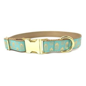 Gold Pineapple Printed Trendy Female Dog Collar