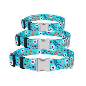 Floral Blue Personalized Dog Collar & Leash