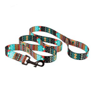 Blue Nylon Tribal Pet Dog Collars & Leash