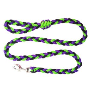 Beautiful Triple Color Nylon Dog Leash