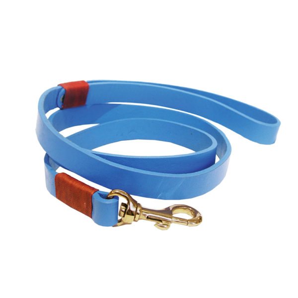 Reflective Blue Waterproof Leather Dog Leash