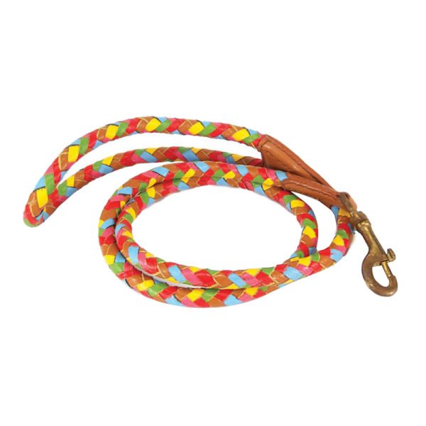 Multicolor Leather Braid Dog Leash Supplier