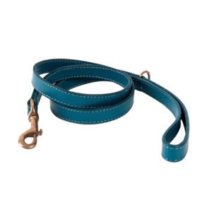 Ocean Blue Luxury Long Leather Leash For Dogs