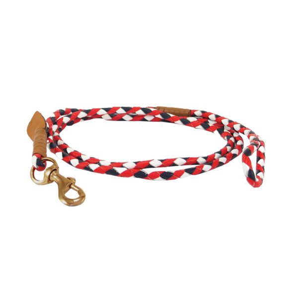 Black White Or Red Braid Leather Dog Leash