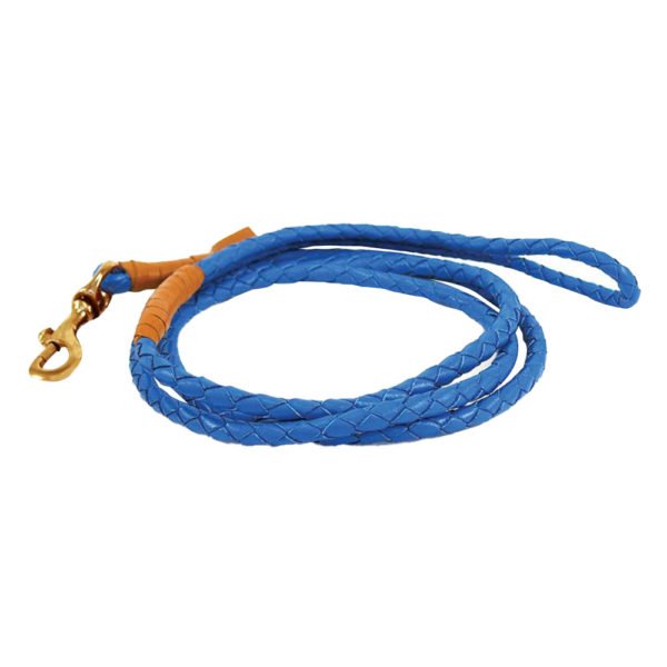 Blue Rope Leather Braid Dog Collar