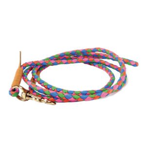 colorful-leather-braid-dog-leash-supplier/