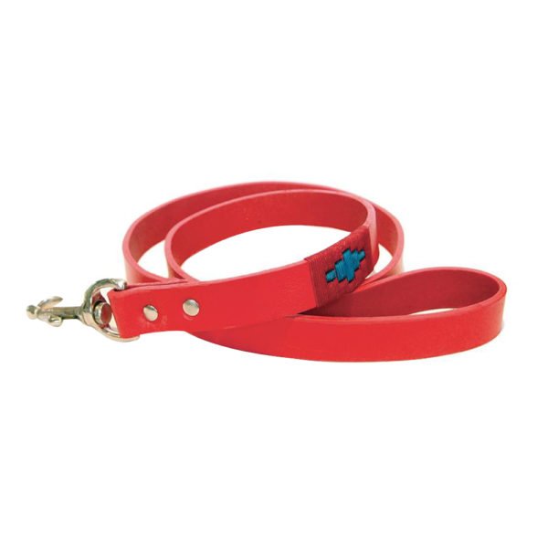 Beautiful Cherry Red Leather Dog Leash
