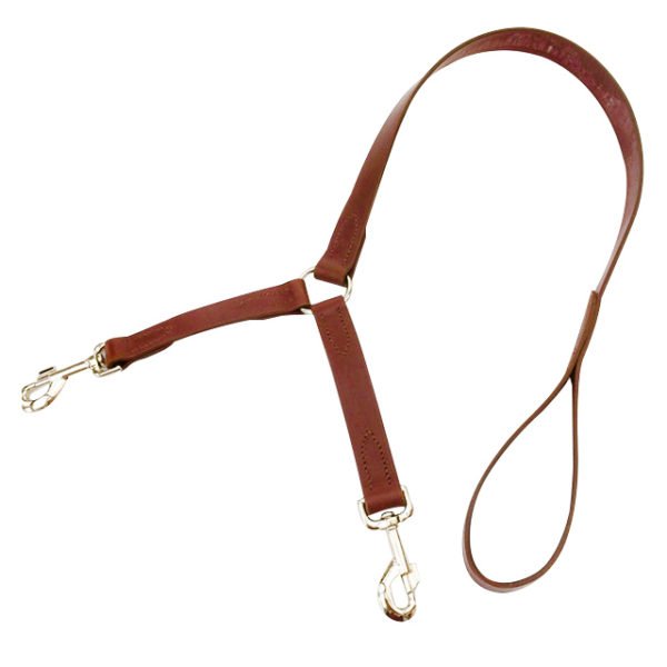 Double Dog Brown Pet Leather Leash