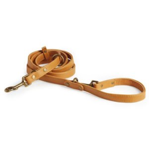 Brown Leather Dog Collar And Leash With Soft Padded Handle