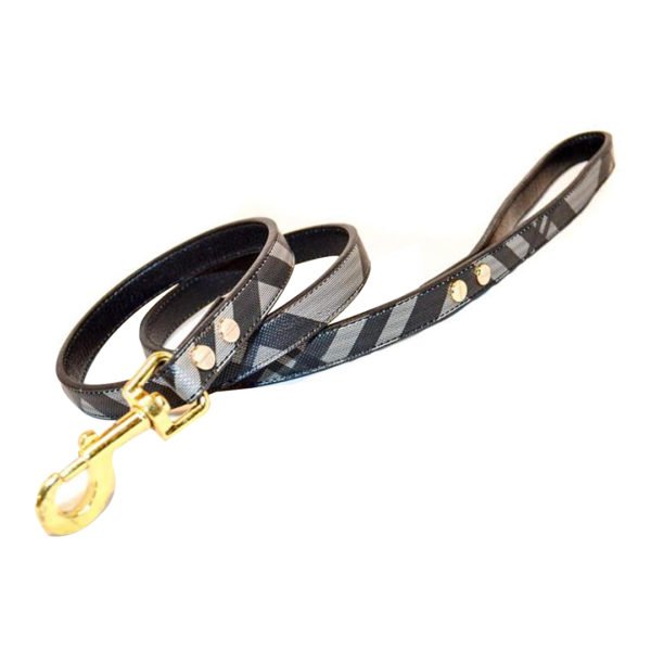 Gray Leather Stripe Pattern Leash Set