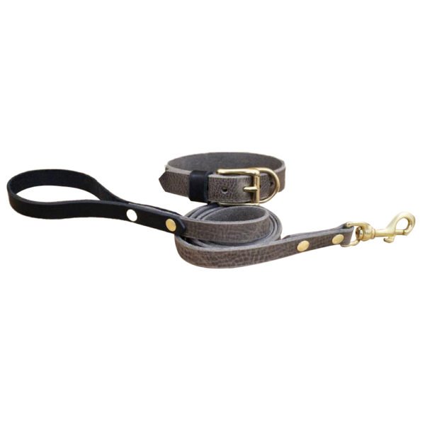 Gray Design Dog Collar & Leash With Black Leather Handle