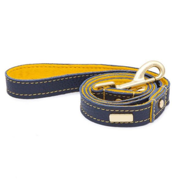 Stylish Nevy Blue With Yellow Leather Dog Leash