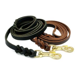 Twisted Leather Braid Dog Leash