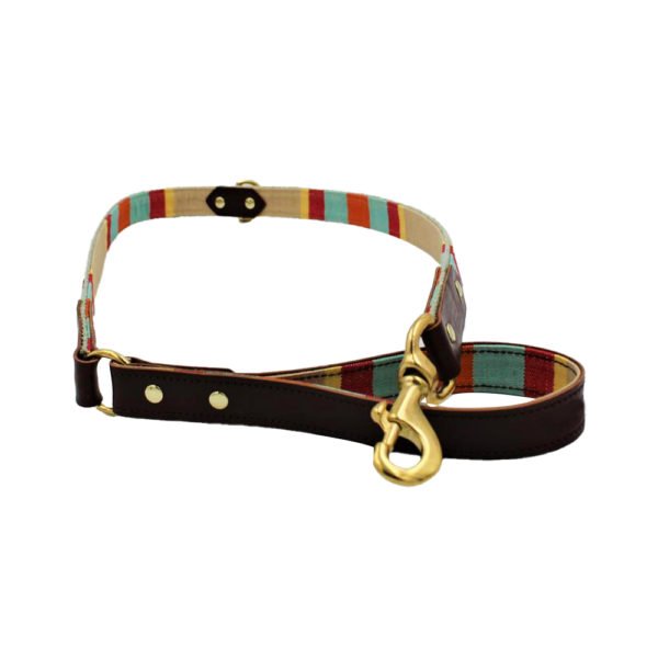 Handmade Leather Dog Leash Lead With Multi Colour Stripes