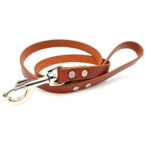 Potiron Shade Pure Leather Dog Leash