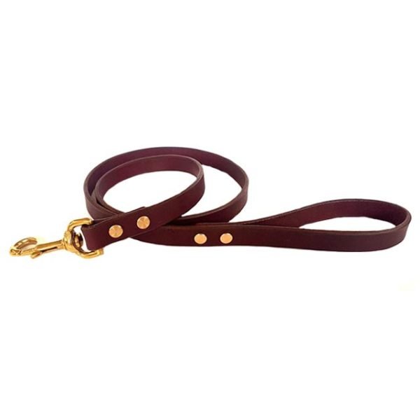 Dark Brown Leather Leash With Golden Buckle