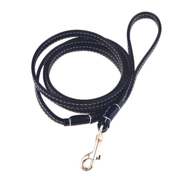 Leather Dog Leash handmade Personalized Dog Collars