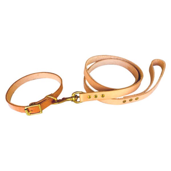 Brown Leather Dog Collar And Leash With Soft Padded Handle