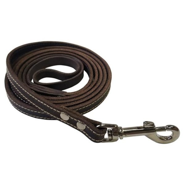 6 Foot Brown Leather Dog Leash 1 Inch wide