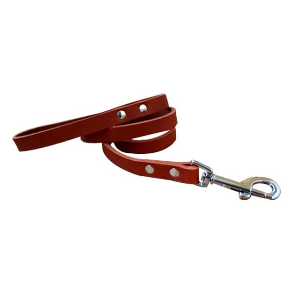 Waterproof Dog Leash