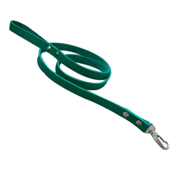 Forest Green Waterproof Dog Leash