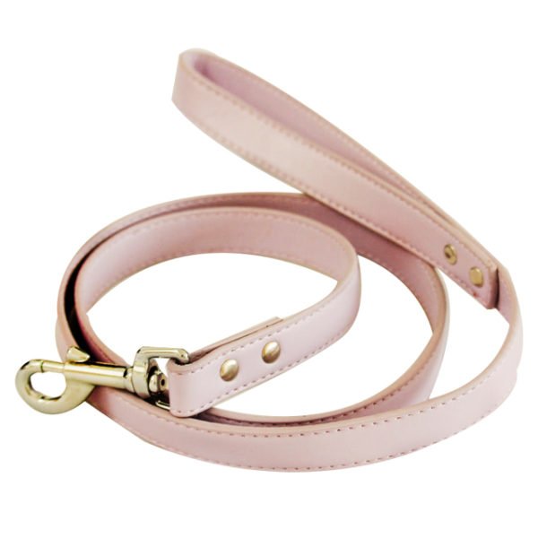 Beautiful Slim Modern Leather Pet Dog Leash