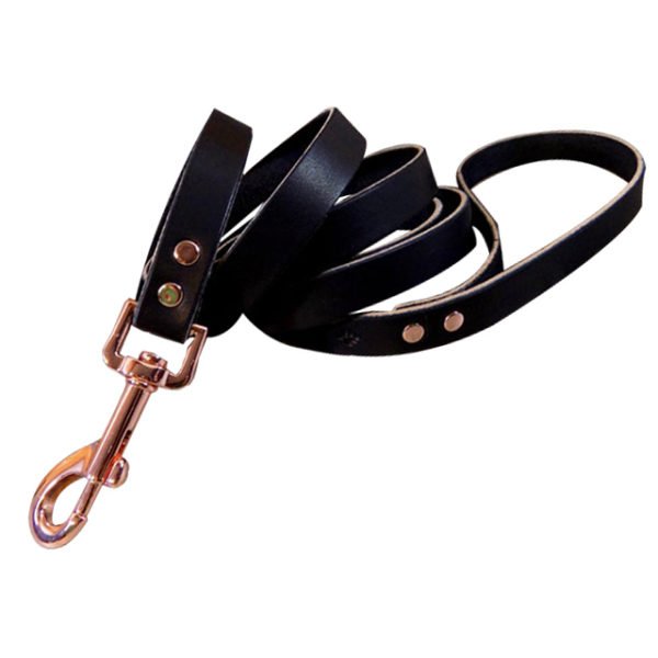 Custom Black Leather Dog Leash Stainless Steel Hardware