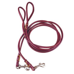 Brown Rolled Leather Dog Leash Manufacturer