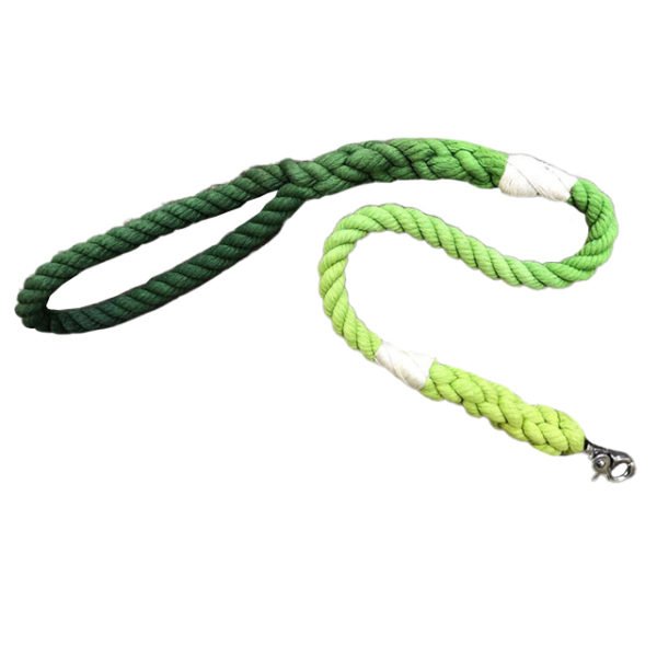 Green Gradient Cotton Rope Dog Leash