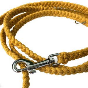 Long Yellow Marame Dog Leash