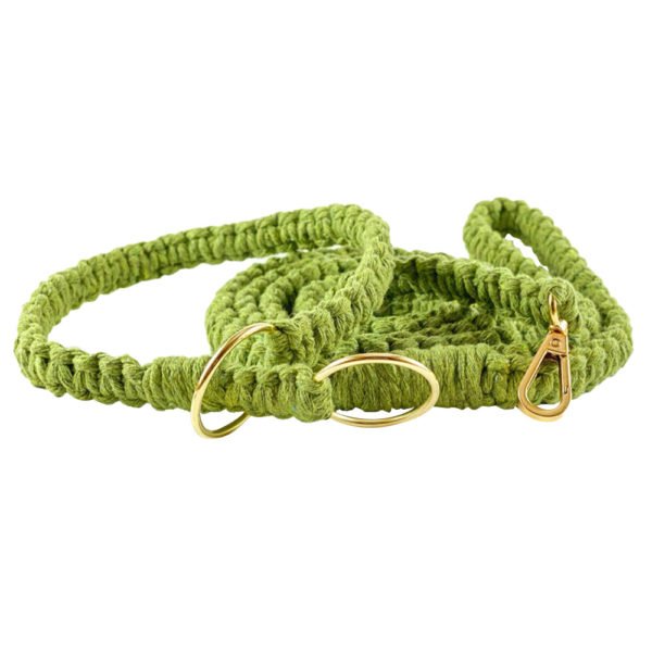 Light Green Macrame Dog Collar And Leash