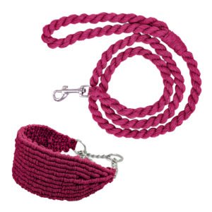 Macrame Dog Collar and Leash manufacturer