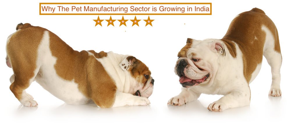 Pet Products Manufacturer