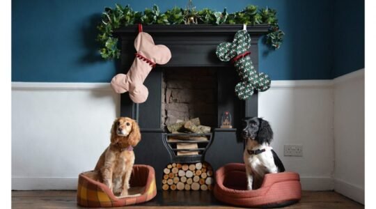 Top Six Seasonal Accessories for Dogs Manufacturer