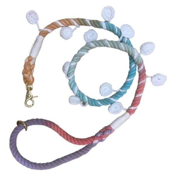 Eco-friendly Braided Cotton Rope Dog Lead
