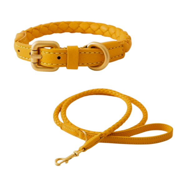 Heavy Duty Braided Leather Dog Leash And Collar manufacturer