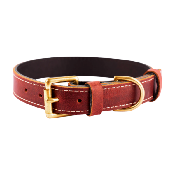 Soft Padding Leather Dog Collar manufacturer