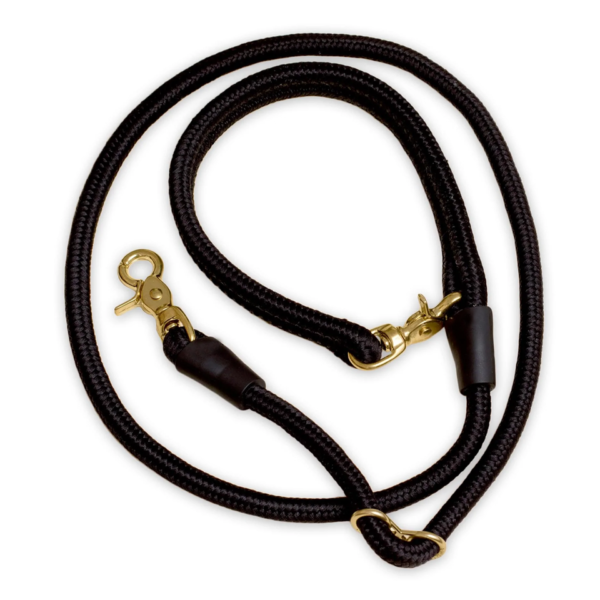 Dog Leash Customize Luxury Designers - Image 2