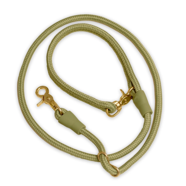 Dog Leash Customize Luxury Designers - Image 3