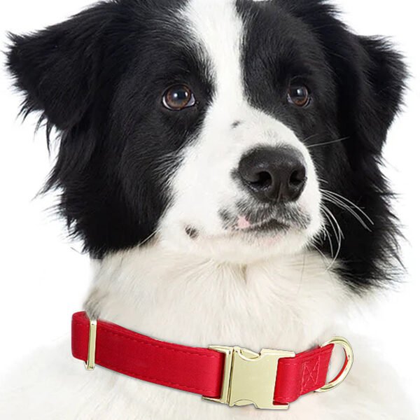 Luxury Metal Dog Collar Manufacturer - Image 2