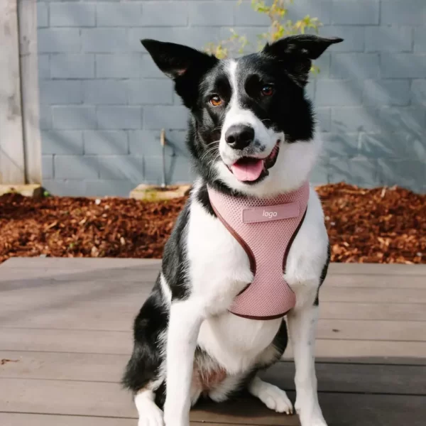 No Pull No Choke Dog Harness - Image 2