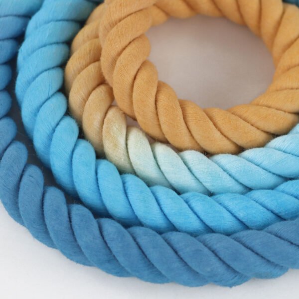Dog Leash Ombre Rope Manufacturer - Image 2