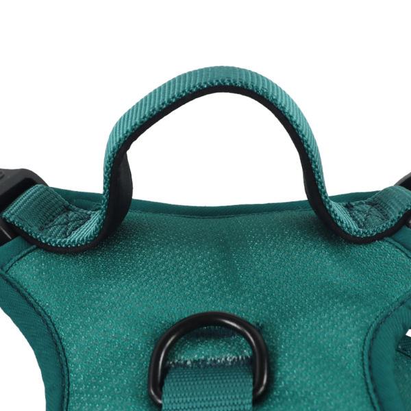 Luxury Dog Harness Manufacturer - Image 4
