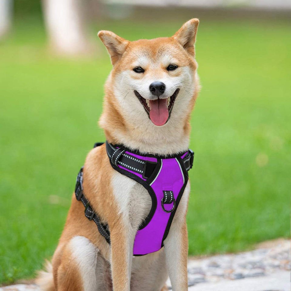 No-Choke Adjustable Dog Harness