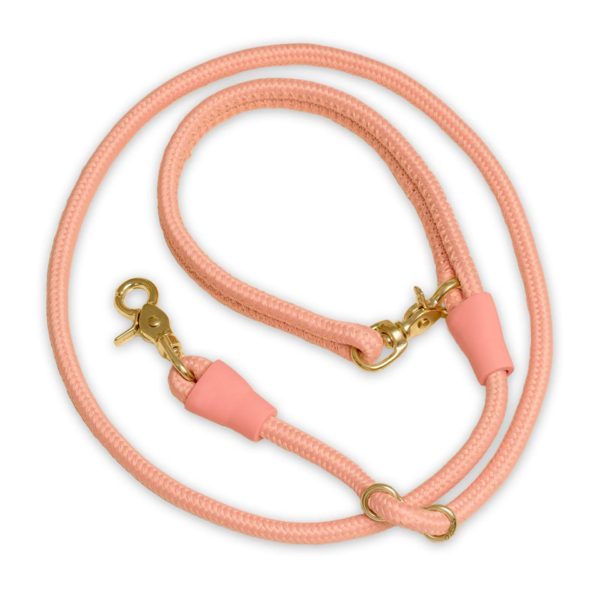 Dog Leash Customize Luxury Designers